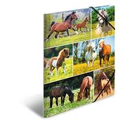 HERMA 19342 - Carpeta con diseño de animales (3 unidades, DIN A4, cartón resistente, con impresión interior completa y correa elástica)
