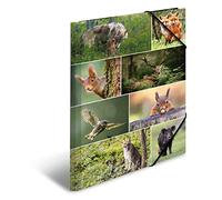 HERMA 19451 Carpeta A3 Animales del Bosque, carpeta de cartón con impresión interior y goma elástica, estable de cartón para niños y niñas