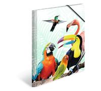 HERMA 19959 Carpeta de dibujo Animales exóticos con motivo de Camarilla tropical, A4, plástico resistente, con impresión interior, carpeta de 1 palmo