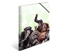 HERMA 19969 Carpeta de dibujo Animales exóticos con motivo de Pandilla de monos, A3, plástico resistente, con impresión interior, carpeta de 1 palmo