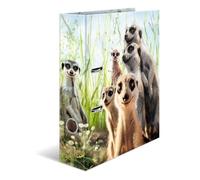 HERMA 20048 Archivadores A4 animales suricatos, 10 unidades, 7 cm de ancho, diseño de archivador de cartón con impresión interior para escuela y oficina, resistente juego de carpeta de anillas para