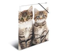 Herma Carpeta de dibujo 7138, A4, motivo gatos, plástico resistente, impresión interior