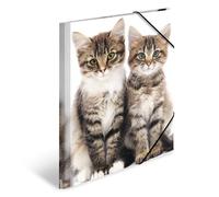 HERMA 7138 - Carpetas A4 de animales, gatos, paquete de 3, carpetas de esquina de plástico para niños con impresión interior y banda elástica, juego de carpetas de plástico resistente para niños y