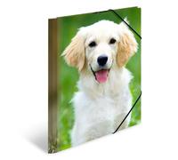 HERMA 7139 - Carpetas A4 de animales y perros, 3 unidades, carpeta esquinera infantil de plástico con impresión interior y banda elástica, juego de carpetas de plástico resistente para niños y niñas