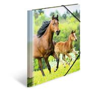 HERMA 7140 Carpeta de dibujo Animales con motivo Caballos, A4, plástico resisten
