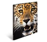 HERMA 7142 Carpeta de dibujo Animales con motivo Leopardo, A3, plástico resistente, con impresión interior, carpeta de 1 palmo