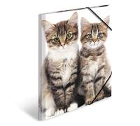 HERMA 7143 Carpetas A3 Animales Gatos, Pack de 3, Carpeta de esquina de plástico infantil con impresión interior y banda elástica, juego de carpetas de plástico resistente para niños y niñas