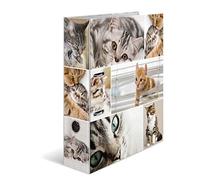 HERMA 7166 Carpeta A4 Animales Gatos, Pack de 10, 7 cm de ancho, carpeta de cartón con impresión interior para escuela y oficina, resistente juego de carpetas de cartón para niños y niñas