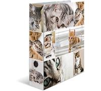 Herma Archivador de anillas con palanca Animales Gatos A4 70 mm con estampado interior 1 carpeta