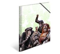 HERMA Carpeta 19960, DIN A4, animales exóticos, monos, juego de 3, de plástico estable, carpeta organizadora con solapas interiores impresas y goma elástica, carpeta para documentos para niños, niños y niñas