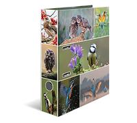 HERMA Carpeta DIN A4 Animal Worlds Home Birds de 7 cm de ancho, cartón resistente, impresión exterior e interior, con diseño de archivos, archivador de archivos, archivador de oficina