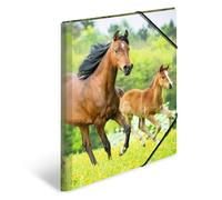 HERMA Carpetas para niños, tamaño A3, diseño de caballo, 3 unidades, de plástico, con diseño de animales, banda elástica, solapas interiores e impresión interior para niños y niñas
