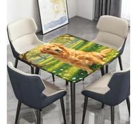 Highdi Cuadrado Mantel Impermeable, Mantel de Tela Oxford Antimanchas Protector Mesa con Borde Elástico, Cubre Encimera para Cocina Comedor,Patrón de Perro Pintura al Óleo (Parque,150x150cm)