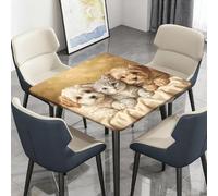 Highdi Cuadrado Mantel Impermeable, Mantel de Tela Oxford Antimanchas Protector Mesa con Borde Elástico, Cubre Encimera para Cocina Comedor,Patrón de Perro Pintura al Óleo (Gato,110x110cm)