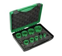 HiKOKI - juego de hojas de sierra de 13 piezas 752173