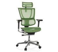 hjh OFFICE Silla de Oficina ergonómica ERGOHUMAN Slim GEN2 Diseño Original, Silla giratoria con Soporte Lumbar Flexible, Malla Verde