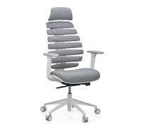 hjh OFFICE Silla de Oficina Profesional Silla giratoria Ergo Line W con Respaldo ergonómico Incl. Soporte Lumbar, Gris Oscuro