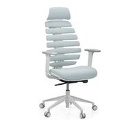 hjh OFFICE Silla de Oficina Profesional Silla giratoria Ergo Line W con Respaldo ergonómico Incl. Soporte Lumbar, Gris Claro