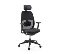Skandis Pro | con reposacabezas | Estructura: Negro - Silla de oficina profesional Negro