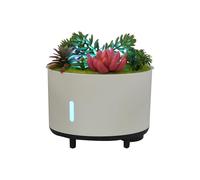 hKjPlvf Difusor Planta Artificial Humidificador Aire USB 200ml Luz LED Cambio Color Altavoz Bluetooth Dormitorio Oficina Yoga Regalo Cumpleanos Detalle B