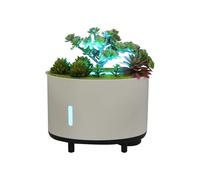 hKjPlvf Difusor Planta Artificial Humidificador Aire USB 200ml Luz LED Cambio Color Altavoz Bluetooth Dormitorio Oficina Yoga Regalo Cumpleanos Detalle C