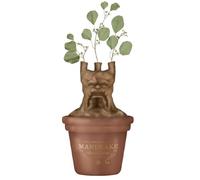 HMB Macetero Mesa Harry Potter Mandragora - Macetero cerámica - Macetero Original - Decoración hogar Harry Potter - Jarrón Pared - Licencia Oficial