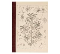 ほぼ日 Hobonichi Techo Accessories Hobonichi Graph Notebook (A5) - Yamazakura