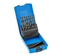 Högert Technik - Juego de brocas para metal de 19 piezas - Juego de brocas para taladrar agujeros en acero, hierro fundido, metales no ferrosos y plásticos endurecidos - De acero HSS - Norma DIN 338