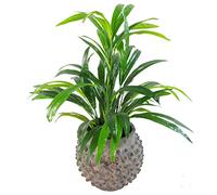 Hoja 65 cm Planta Artificial Grande de bambú arbustos