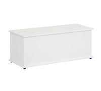 HOMCOM Baúl de Almacenamiento Madera Dormitorio Carga 60kg 100x40x40cm White 100x40x40 cm