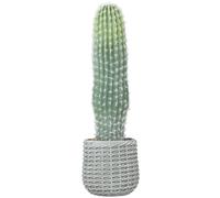 HOMCOM Cactus Artificial 66 cm, Planta Artificial Decorativa con Maceta, para Decoración del Interior, Hogar, Oficina, Salón, Verde