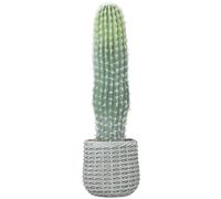 HOMCOM Cactus Artificial 66 cm, Planta Artificial Decorativa con Maceta para Decoración del Interior Verde