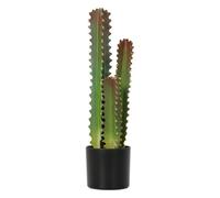 HOMCOM Cactus Artificial 66 cm Planta Artificial con Maceta Verde Grande | Con 3 Hojas, Decoración Interior, Hogar, Oficina, Salón