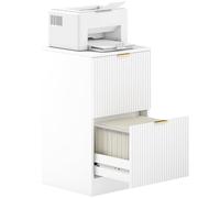 HOMCOM Cajonera de Oficina con 2 Cajones Cajonera de Escritorio con Frentes Acanalados Mueble Archivador para Tamaño A4 o Carta para Estudio 40x40x71 cm Blanco