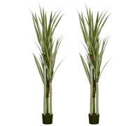 HOMCOM Pack de 2 Plantas Artificiales de Yuca 190 cm con Maceta Verde | Plantas Sintéticos, 39 Hojas Realistas, Decoración en Interior, Hogar, Salón, Oficina