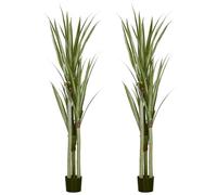 HOMCOM Pack de 2 Plantas Artificiales de Yuca 190 cm Plantas Sintéticos con Maceta 39 Hojas Realistas para Decoración en Interior Hogar Salón Oficina Verde