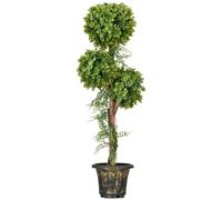 HOMCOM Planta artificial árbol artificial 3 bolas de boj con maceta de cemento interior y exterior altura 115 cm Aosom España