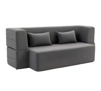 HOMCOM Sofá cama de 2 plazas de espuma, sofá cama con reposabrazos anchos, 2 cojines, capacidad 360 kg, Gris
