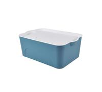 Homea Essentiel Box con Tapa de plástico, 16 L, Azul y Blanco, 40 x 27 x 15 cm de Ancho
