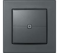 Homematic IP 159891A0, cable, color , 2 canales, interruptores, IP20, corriente continua (DC)