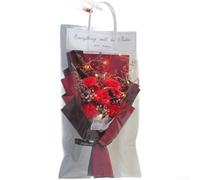 HomeVortex Paquete de 5 ramo de flores LED de jabón, girasol artificial brillante y arreglo de clavel en bolsa transparente, decorativo hecho a mano para novia, cumpleaños (claveles rojos grandes)