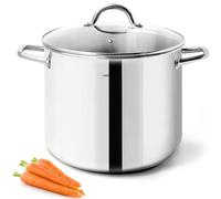 HOMICHEF 24,5 cm 9,5 litros olla de acero inoxidable sin níquel de con tapa de cristal y asa - 9,5 litros Olla de inducción saludable con acabado pulido espejo