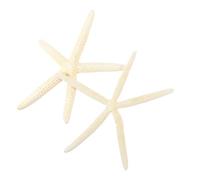 HOMOCONO Estrella de Mar Natural Extragrande de Cinco Dedos, 2 Piezas para Decoración de Bodas y Estilo Mediterráneo, Accesorio Artesanal de Conchas Marinas 16-19 CM