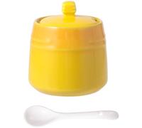 HOODANCOS Juego de Tarro de Cerámica para Condimentos Cuchara, Salero y Azucarero para Almacenamiento en Cocina, Decoración y Uso Doméstico