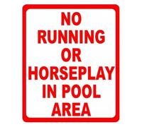 Horseplay Near Pool Warning Tin 12x8 Inch
