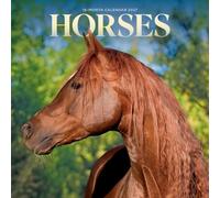 Horses 2027 Mini Wall Calendar