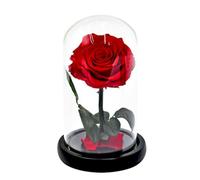 HOUDERCO Caja de Obsequio el Principito Luminosa Flor Preservada Roja en Cúpula de Cristal Hecha a Mano para Decoración y Obsequio de San Valentín sin Batería