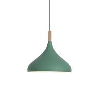 HUAYUSEDF Lámpara colgante de metal madera colorida creativa, lámpara moderna nórdica, rústica individual, iluminación retro simple for mesa comedor(Green,12.5in)