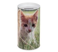Hucha Infantil de Cachorros, Perros y Gatos. Hucha Original de Lata Con Tapa. Bote Barato para Niños Que Se Puede Utilizar También Como Portalápices. (Gatito Blanco)