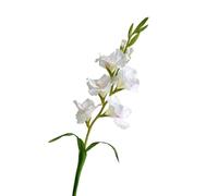 HUFFA Arreglo Floral Artificial de Flor Espada con Ramas de Pegamento Suave for decoración del hogar, Perfecto for Sala de Estar y floricultura(Blanco)